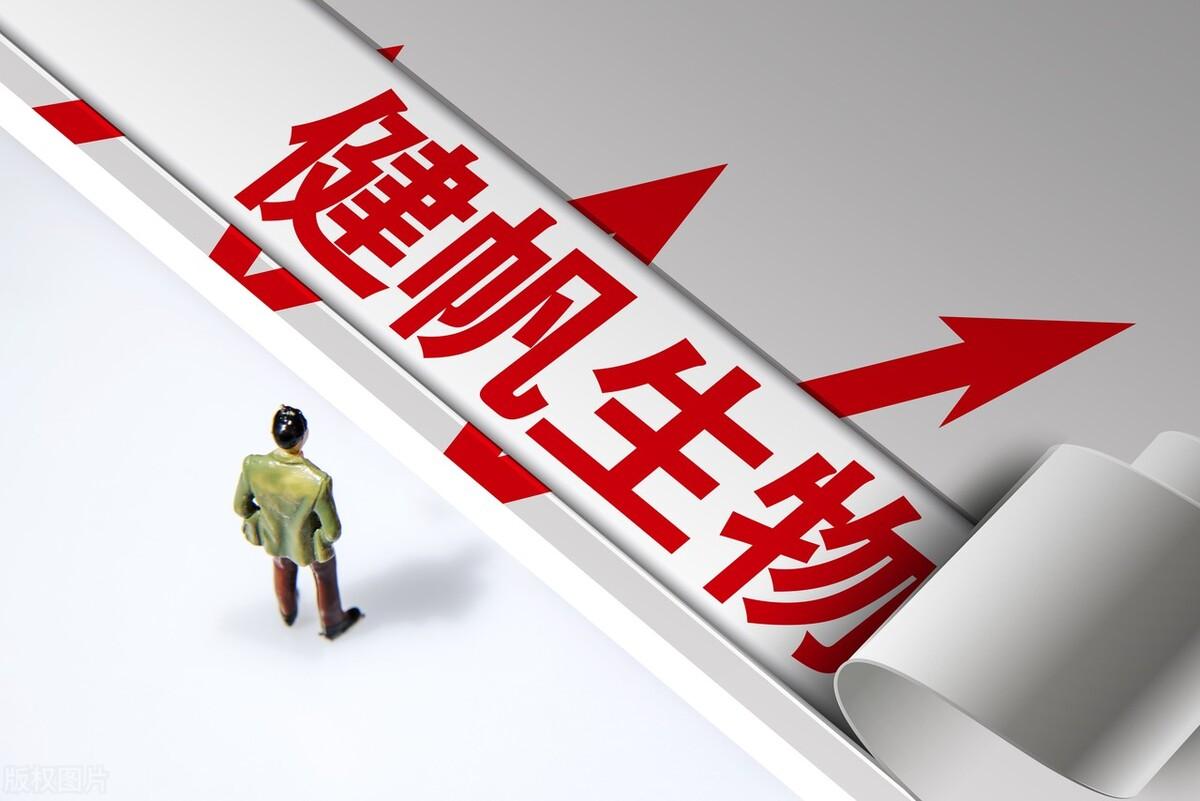 探索股票分红的小巷宝藏店，投资与回报之路