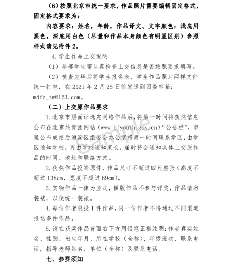 小学生书法比赛精彩回顾，巷弄深处的翰墨瑰宝