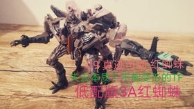 电影红蜘蛛，深度解析与探讨专题