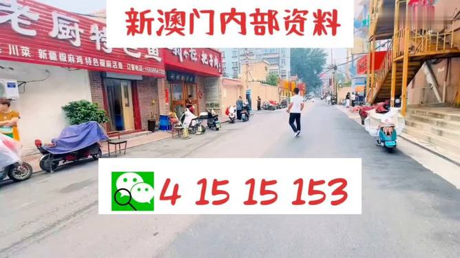 ＂2024澳门天天开好彩大全2024＂的：数据驱动方案_付费版3.81