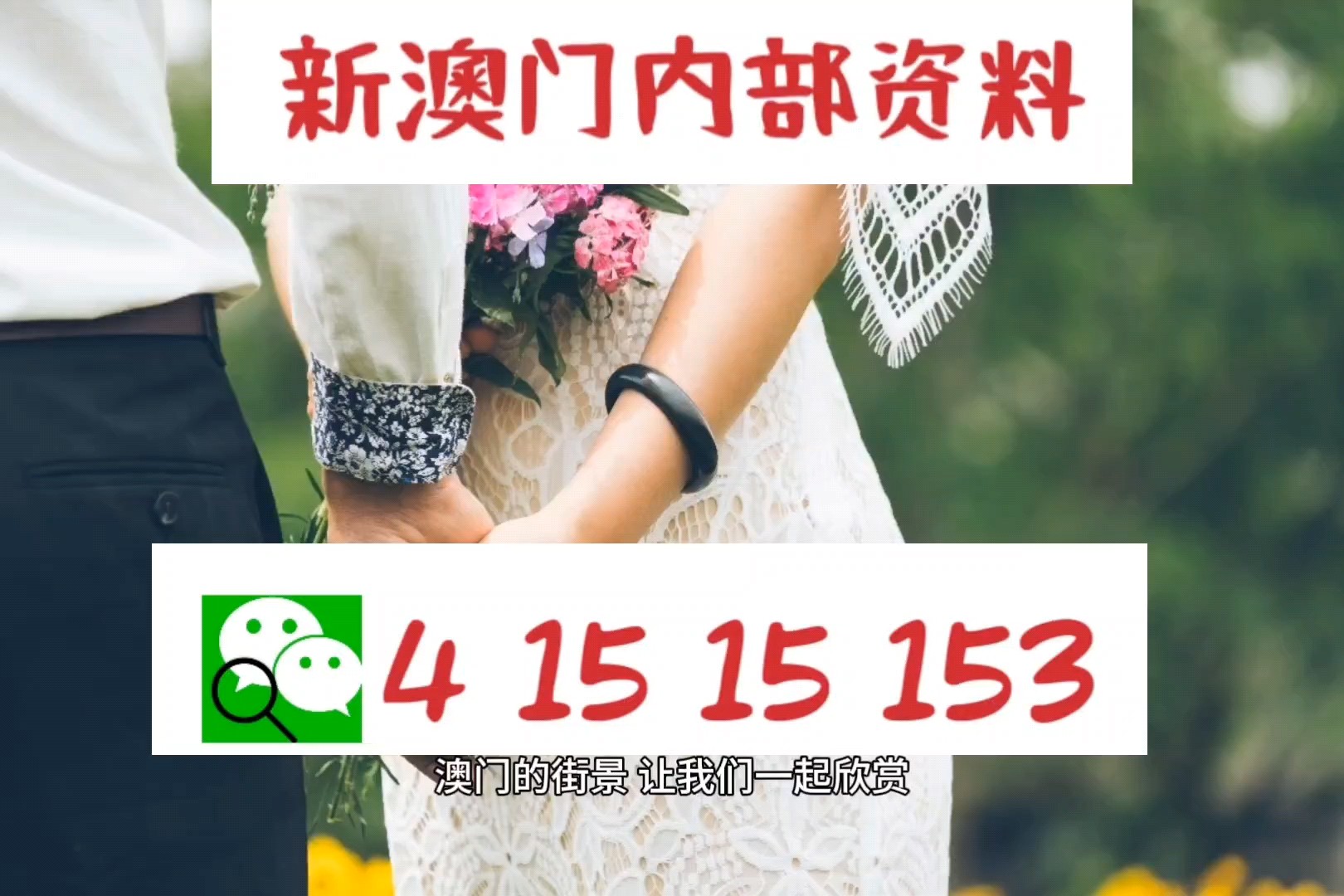 ＂2024澳门精准正版图库＂的：专业调查具体解析_别致版9.54