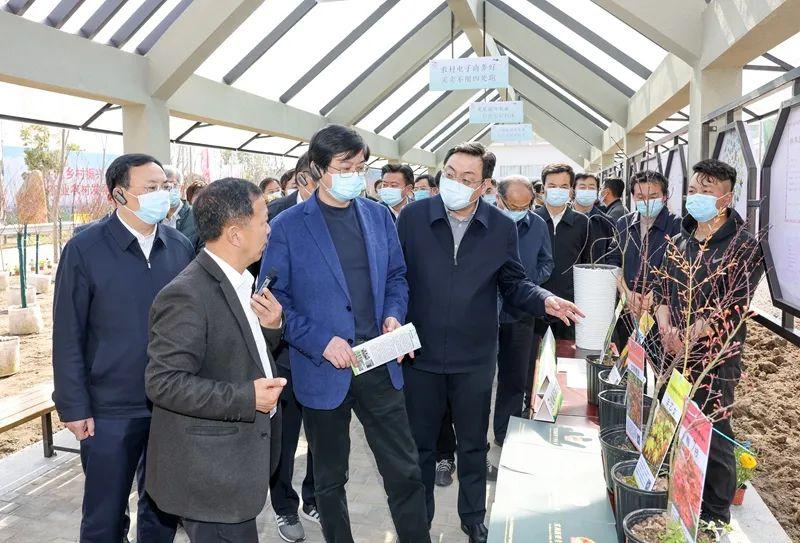 淮安最新动态，城市变迁中的学习与自信成就展