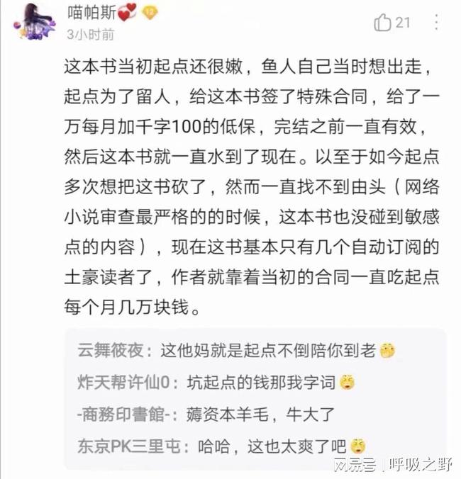 踏遍自然美景，寻找内心平和与喜悦的治愈之旅，最新网文精选