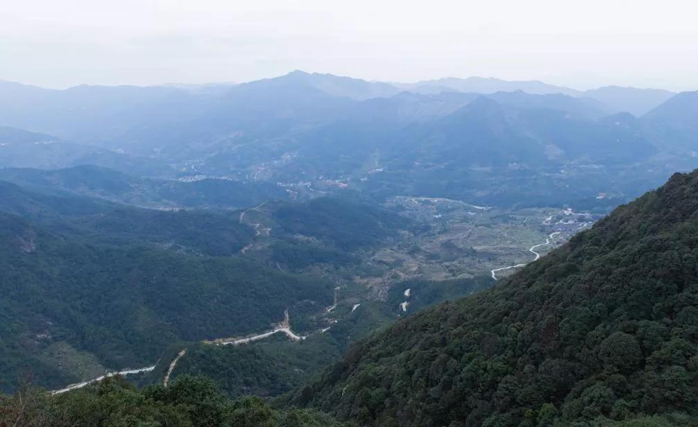 揭西最新网，温馨日常故事集结地