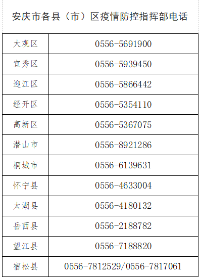 枞阳最新疫情深度分析与观点阐述