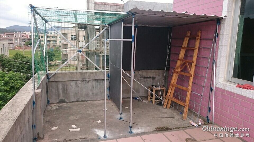 楼顶鸽棚搭建新图，构建理想鸽子家园